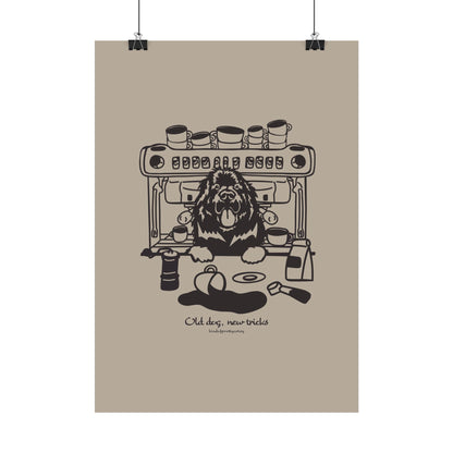 Old dog new tricks Poster